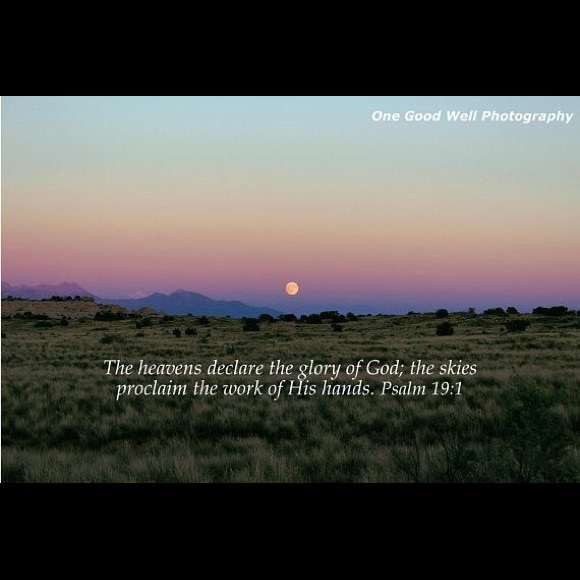 Meet your Posher, Mo - Picture 6 of 8